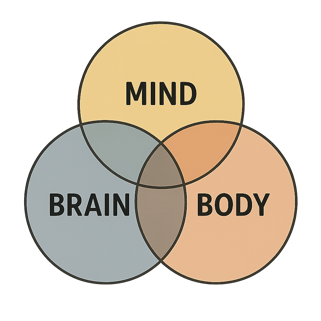 mind-brain-body-transparent mind-brain-body-transparent
